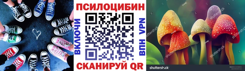 Псилоцибиновые грибы прущие грибы  Ишим 