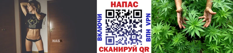 цены   Ишим  Каннабис VHQ 